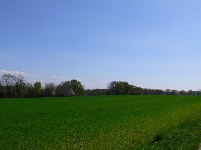 Mont Saint Michel 2010 - 174.jpg